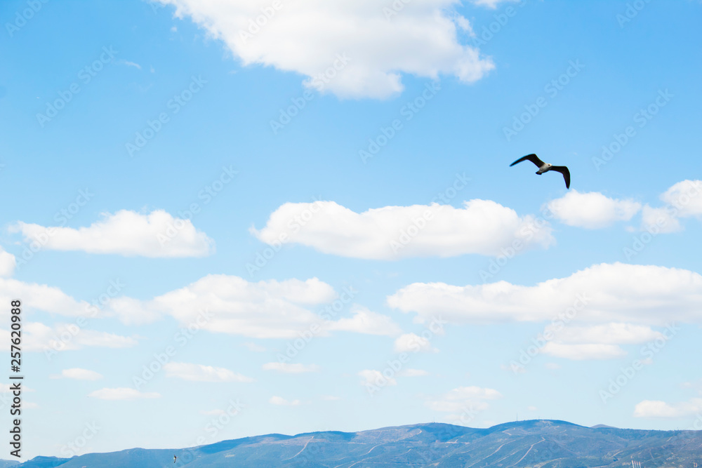 Sea and Mountains