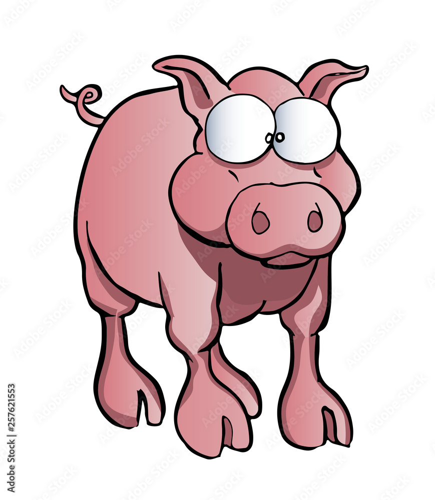 Fototapeta premium pig