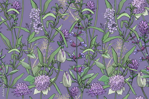 Flowers and herbs isolated on a purple background.