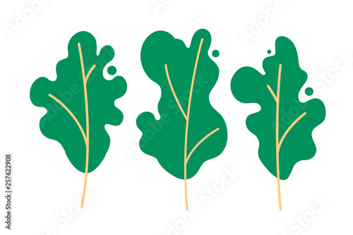 Set of trees. Preservation and protection of the environment, replenishment of forests, cultivation of gardens, ecology, clean air. Vector illustration.