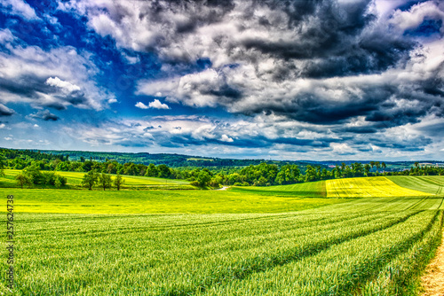 Dieses einzigartige Foto zeigt die Landschaft mit Weizenfeldern und Wäldern mit einem extrem großen Himmel in Heimerdingen in Baden Württemberg