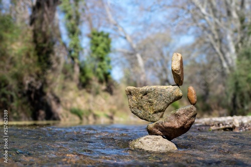 Four on a rock