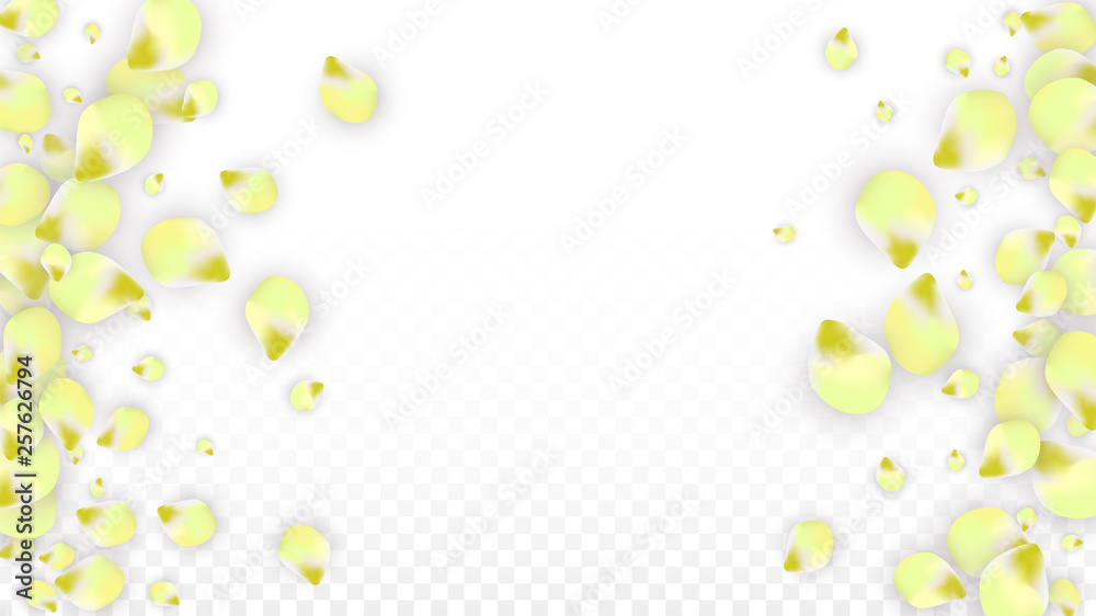 Vector Realistic Pink Petals Falling on Transparent Background. Spring Romantic Flowers Illustration. Flying Petals. Sakura Spa Design. Blossom Confetti. Vector Realistic Pink Petals Falling on Transparent Background. Spring Romantic Flowers Illustration. Flying Petals. Sakura Spa Design. Blossom Confetti.