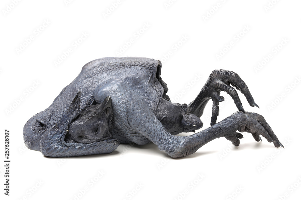 Obraz premium Whole Black Chicken, Silkie, Isolated On White Background