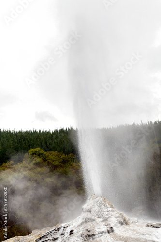 Lady Knox Geyser erupting