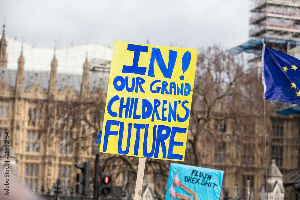 Fototapeta premium Anti-Brexit suporters in London campaigning to stay in European Union.