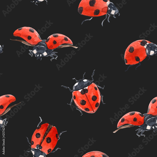 Watercolor ladybug seamless pattern © zenina