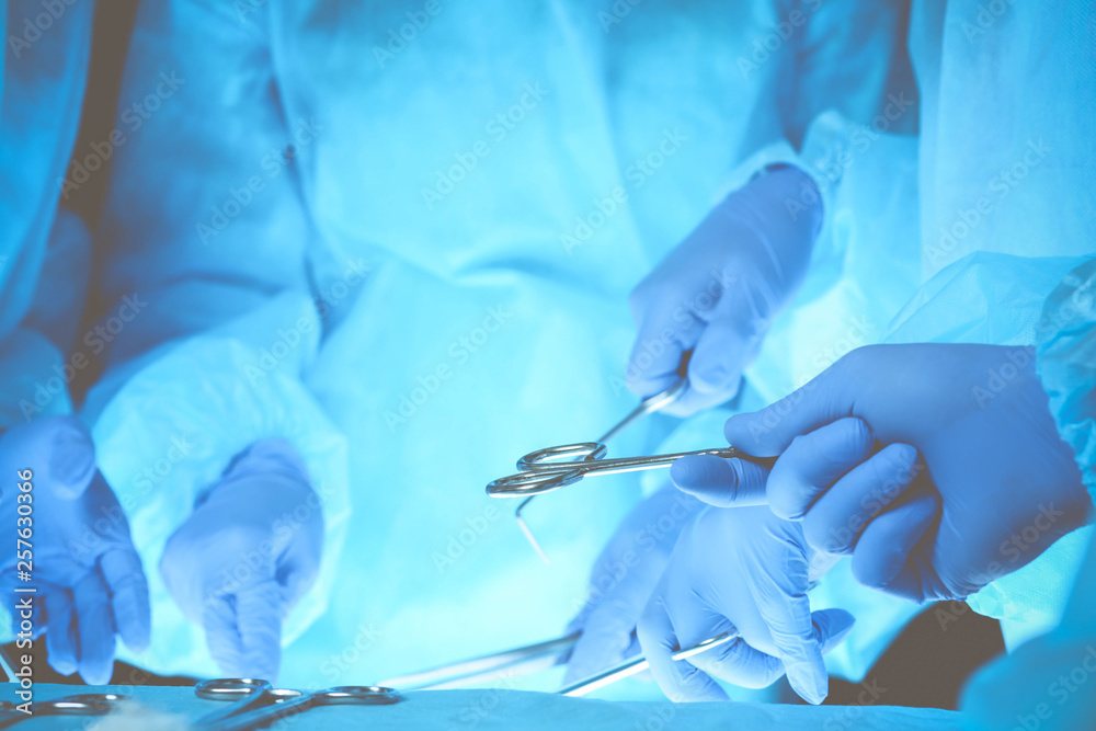 Surgeons hands holding surgical scissors and passing surgical equipment, close-up. Health care and veterinary concept Surgeons hands holding surgical scissors and passing surgical equipment, close-up. Health care and veterinary concept