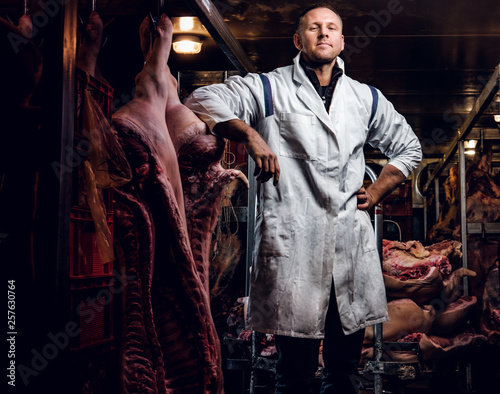 The butcher in workwear posing in a refrigerated warehouse in the midst of meat carcasses
