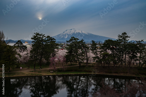 Cherry Blossoms of Hirosaki Castle