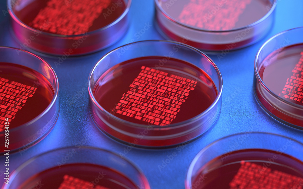 Petri dishes with samples for DNA sequencing, 3d rendering,conceptual image.