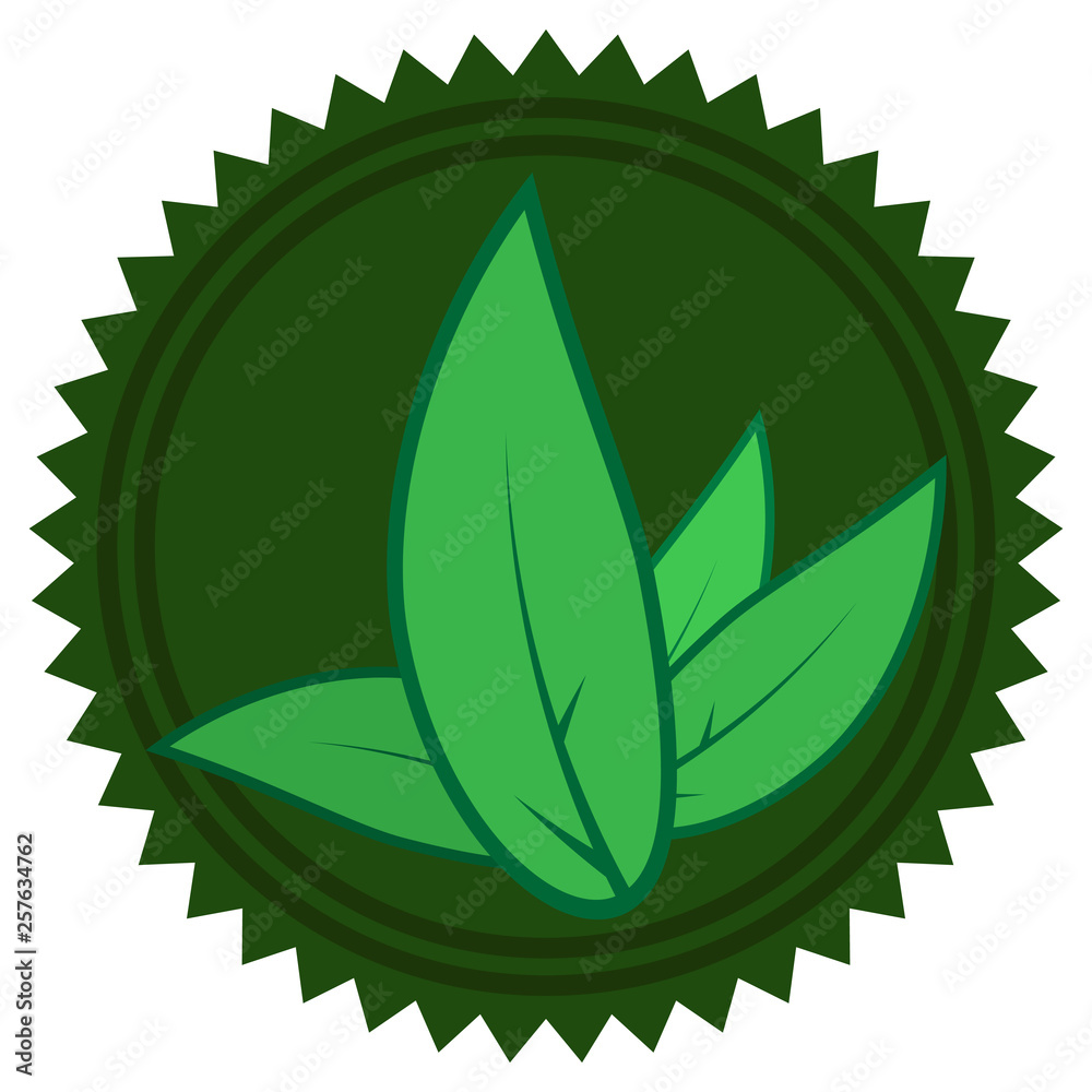 Tea leaves icon. Vector illustration of green tea leaves. Logo green tea leaves. Tea leaves icon. Vector illustration of green tea leaves. Logo green tea leaves.