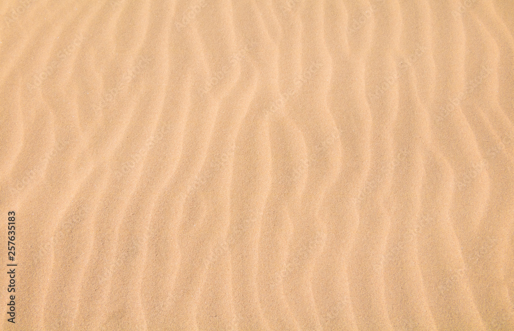 Beautiful Nature Sandy Summer Background