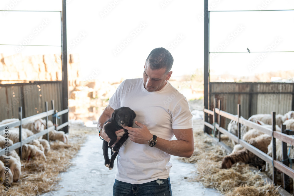 Handsome Man posing at the Sheep Farm Handsome Man posing at the Sheep Farm