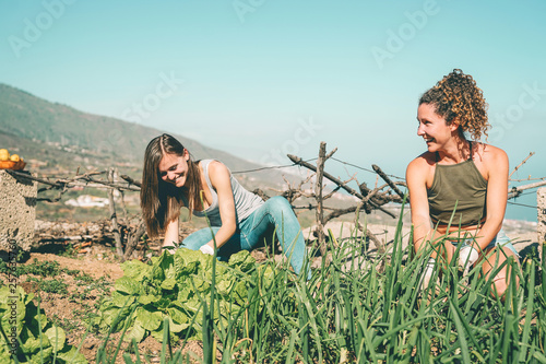 Friends working together in a farm house - Happy young people harvesting fresh vegetables in the garden house - Agriculture, healthy, vegetarian lifestyle concept