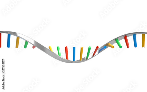 DNA molecules, structure of the genetic code, 3d rendering,conceptual image. photo