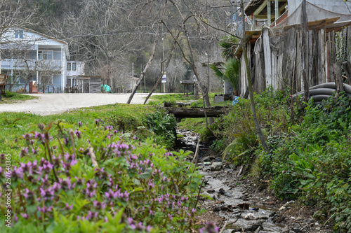 Water canal and wooden passages passing through the village Bursa / Turkey photo