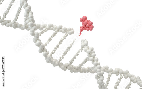 Genetic engineering and gene manipulation concept, 3d rendering,conceptual image. photo