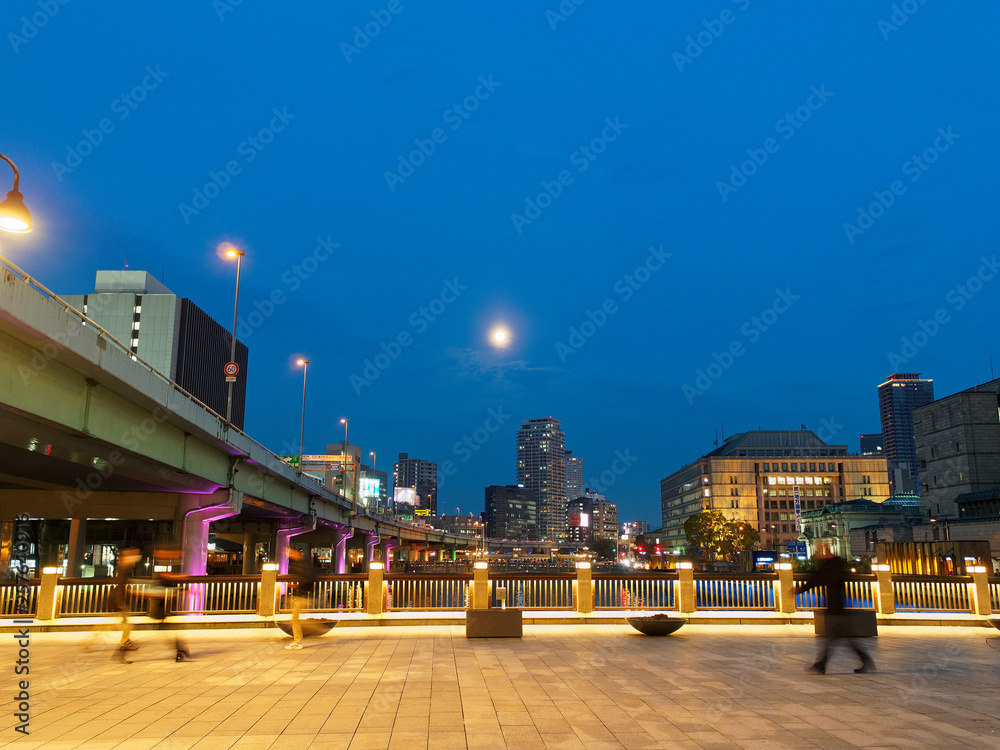 Obraz premium 大阪 中之島ガーデンブリッジから見る中之島の夜景