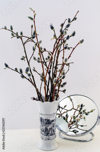 willow twigs in a porcelain vase