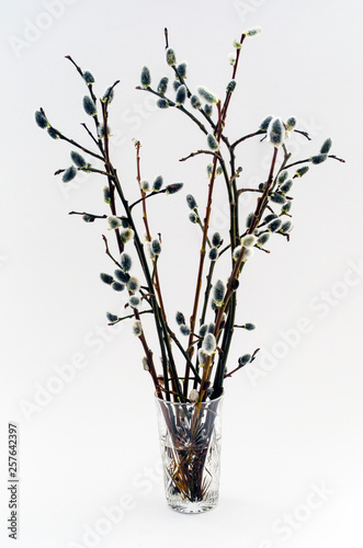 willow twigs in a crystal glass