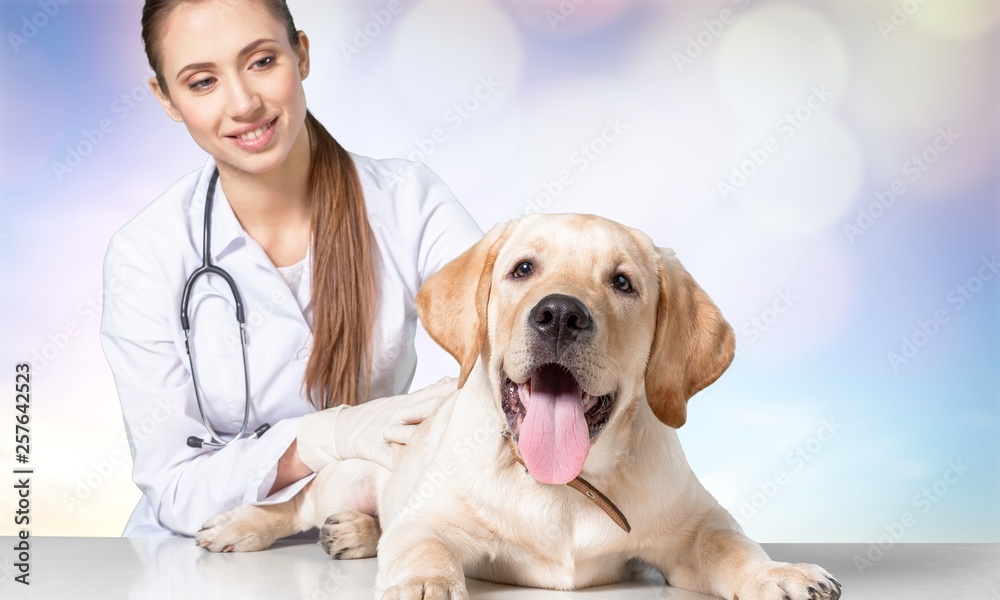 Beautiful young veterinarian with a dog on a white background