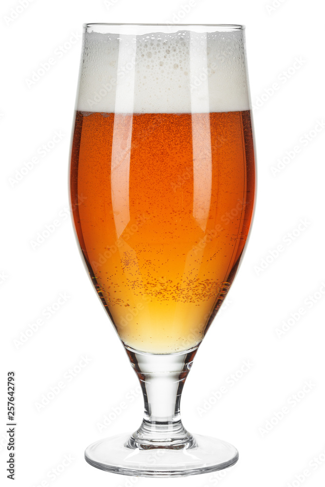 Glass of beer isolated on a white background Glass of beer isolated on a white background