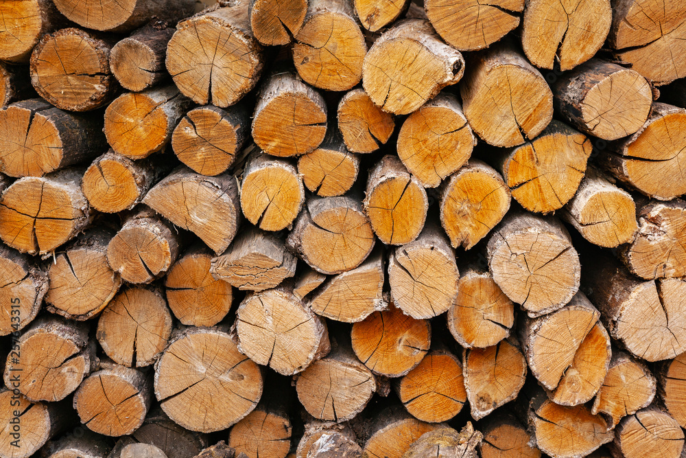 Dry oak firewood stacked in a pile, not chopped whole wood for winter heating fireplace. Natural wood background. Dry oak firewood stacked in a pile, not chopped whole wood for winter heating fireplace. Natural wood background.