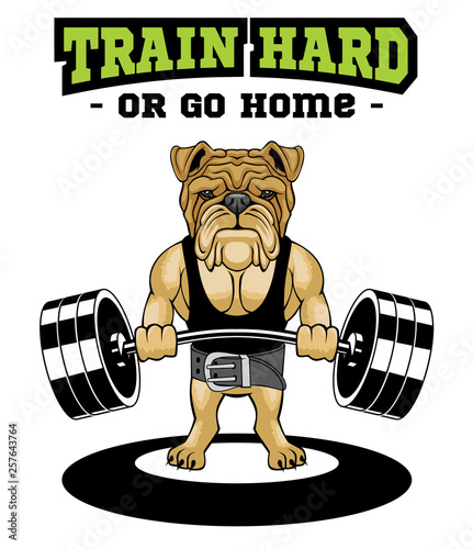 Train Hard Or Go Home. Motivational Quote for Fitness. Creative sport poster concept.