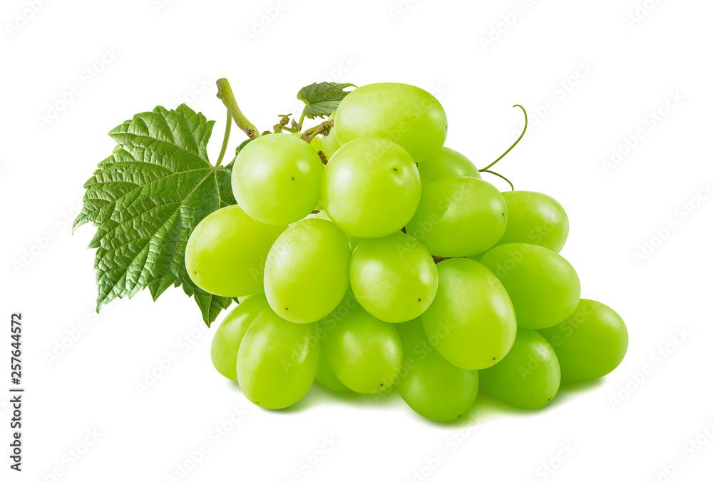 Single green grapes bunch isolated on white background Single green grapes bunch isolated on white background