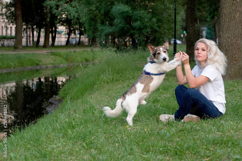 girl with her dog sitting on the grass in the park girl with her dog sitting on the grass in the park