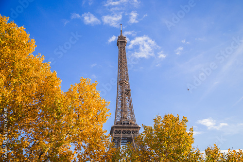 eiffel tower in paris © Elcio