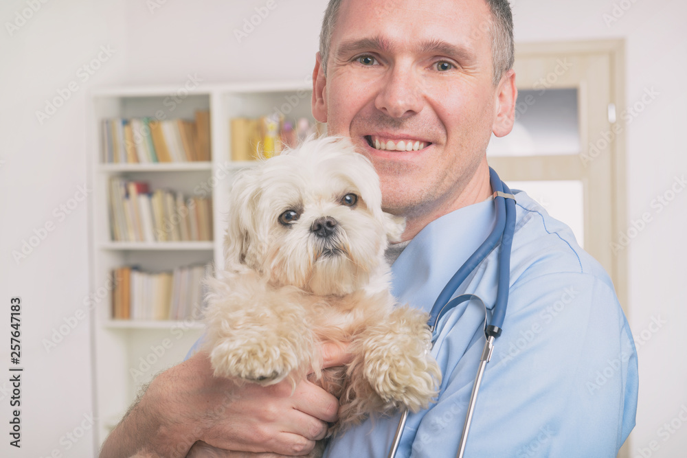 Happy vet holding a little dog
