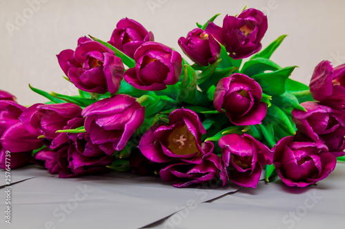 Bunch of bright pink tulips with green leaves, macro