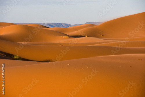 Sahara, Wüste, Marokko