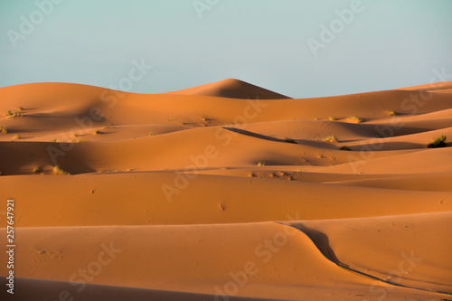 Sahara  W  ster  Marokko
