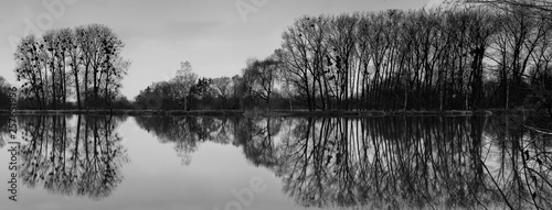 B W Black and white Panoramic view of group of trees and reflection in water surface