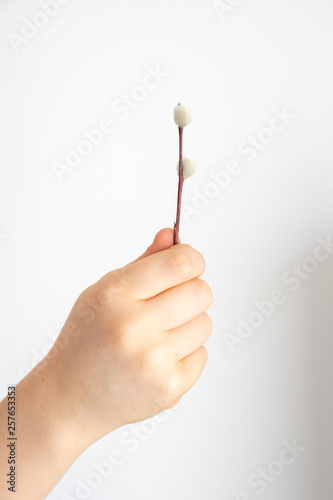  small delicate spring willow twig I keep in a hand on a smooth light background