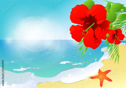 summer time,beach, sea star,blue sky