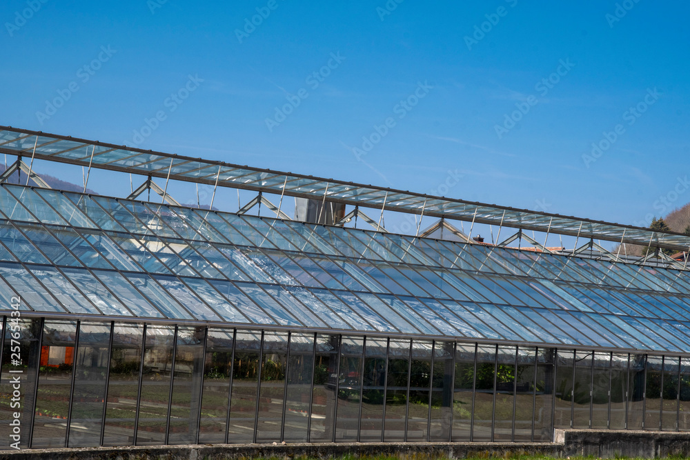 Garden nursery with glass greenhouse with text space and blue sky