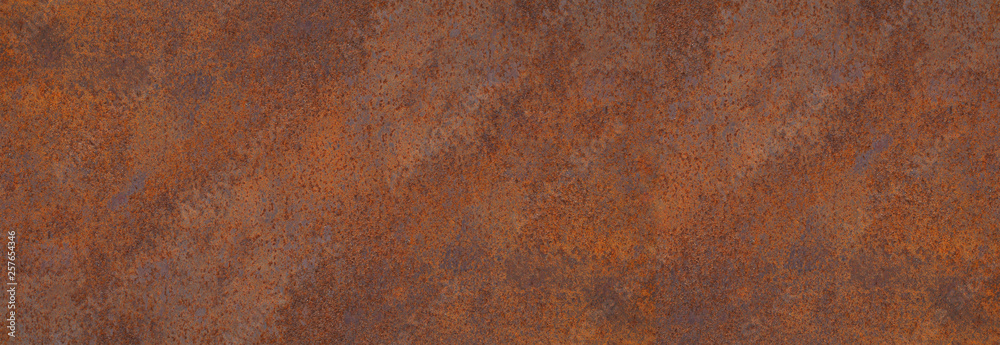 Panoramic grunge rusted metal texture, rust and oxidized metal background. Old metal iron panel. - obrazy, fototapety, plakaty 