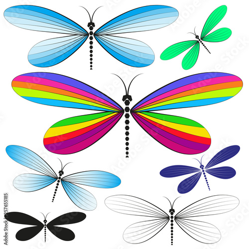 Set of multicolored isolated ornamental dragonflies