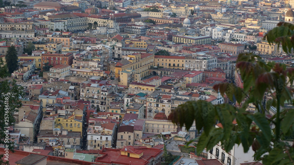 Aerial view of Napoli historic centre