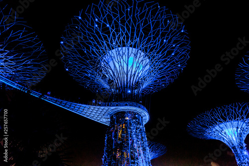 Singapore Gardens by the Bay at night