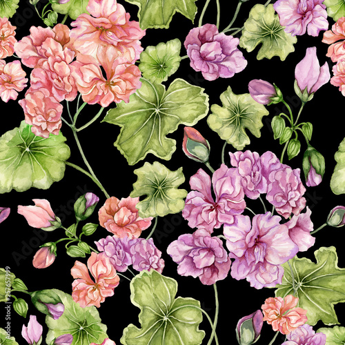 Beautiful floral background with pelargonium flowers and leaves. Seamless bot...