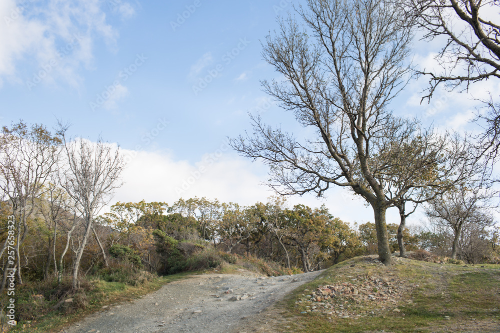 Obraz premium Small Utrish, Caucasus, Russia