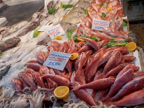 Various fish on a fish market in Athens, Greece