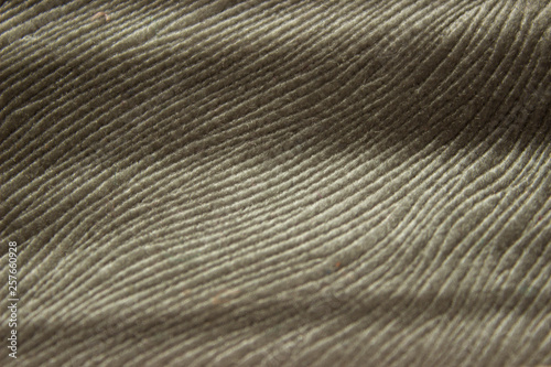 Texture of branched and wrinkled fabric cold gray close-up top-down view