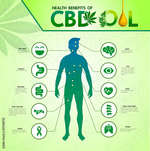 Cannabis benefits for health vector illustration.