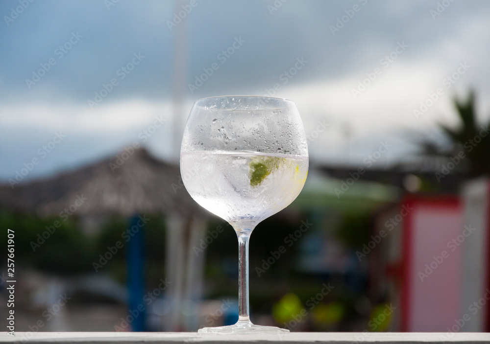 Obraz premium Gin and tonic cocktail